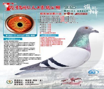 青岛同仁天工加站赛24名