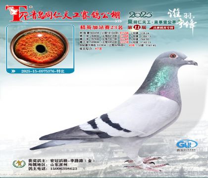 青岛同仁天工加站赛23名