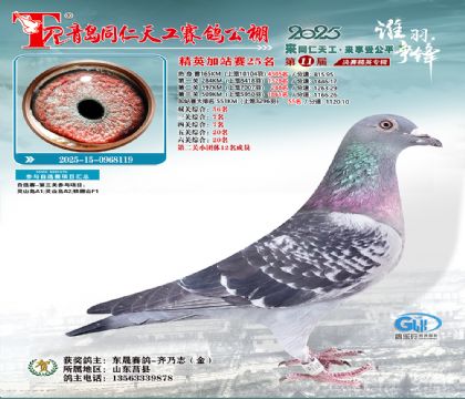 青岛同仁天工加站赛25名