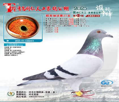 青岛同仁天工加站赛27名