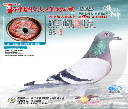 青岛同仁天工加站赛26名