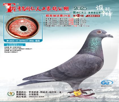 青岛同仁天工加站赛28名