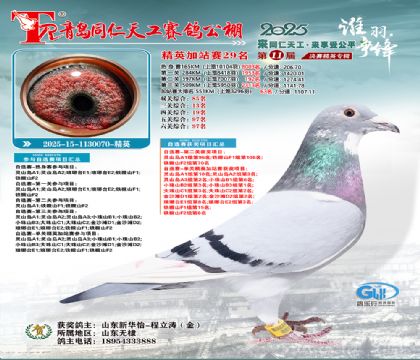 青岛同仁天工加站赛29名