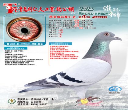 青岛同仁天工加站赛31名