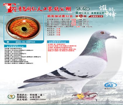 青岛同仁天工加站赛32名