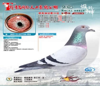 青岛同仁天工加站赛30名