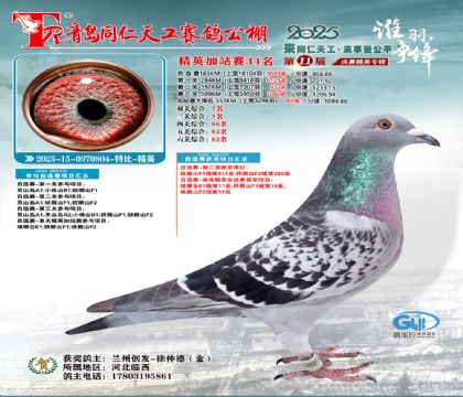 青岛同仁天工加站赛34名