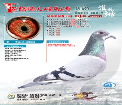 青岛同仁天工加站赛33名