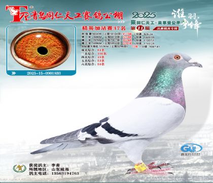 青岛同仁天工加站赛37名