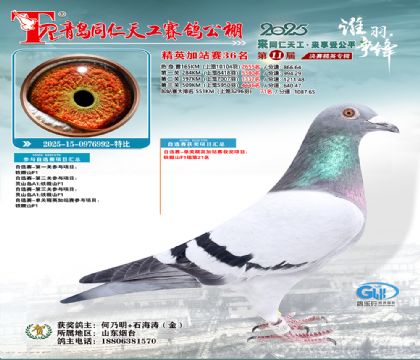 青岛同仁天工加站赛36名