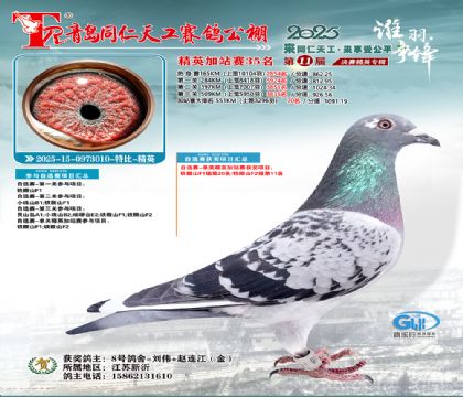 青岛同仁天工加站赛35名