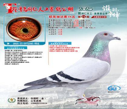 青岛同仁天工加站赛38名