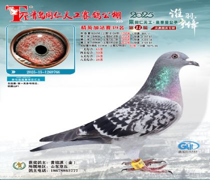 青岛同仁天工加站赛39名