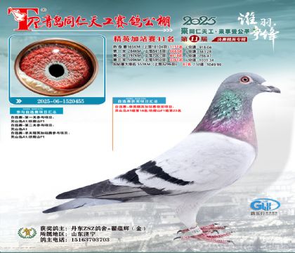 青岛同仁天工加站赛41名