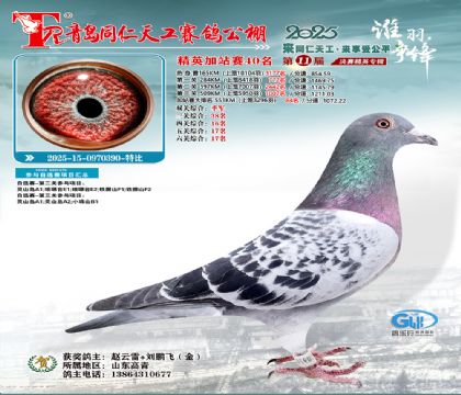 青岛同仁天工加站赛40名