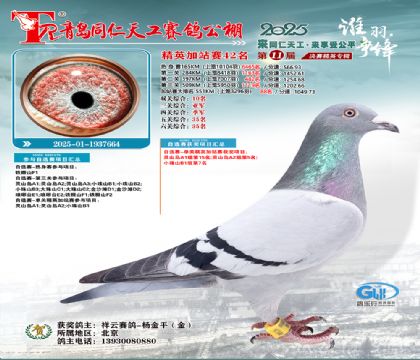 青岛同仁天工加站赛42名