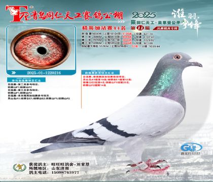 青岛同仁天工加站赛44名