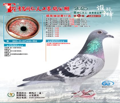 青岛同仁天工加站赛47名