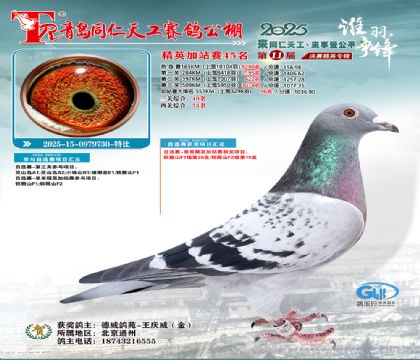 青岛同仁天工加站赛45名