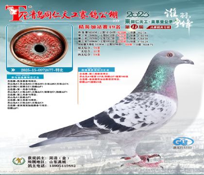 青岛同仁天工加站赛49名