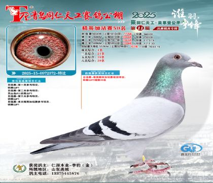 青岛同仁天工加站赛50名