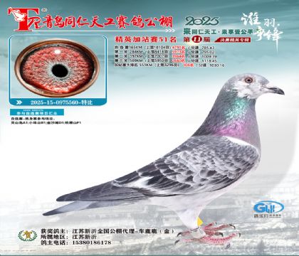 青岛同仁天工加站赛51名