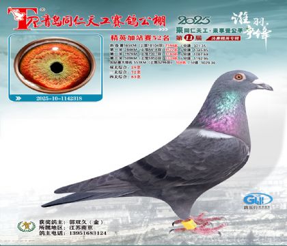 青岛同仁天工加站赛52名