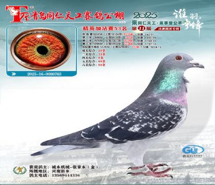 青岛同仁天工加站赛53名