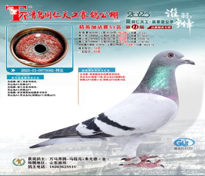 青岛同仁天工加站赛54名