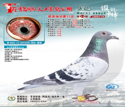 青岛同仁天工加站赛55名