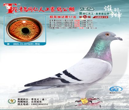 青岛同仁天工加站赛57名