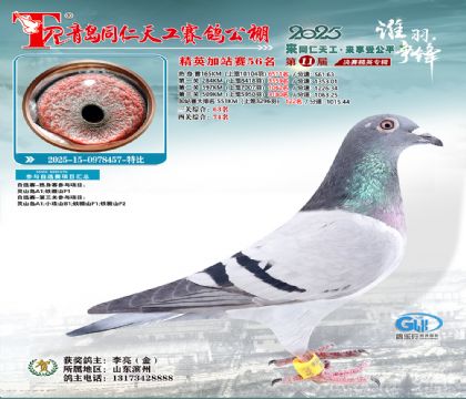 青岛同仁天工加站赛56名