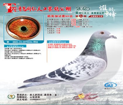 青岛同仁天工加站赛60名