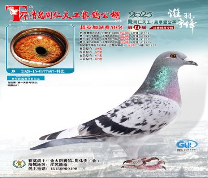 青岛同仁天工加站赛59名