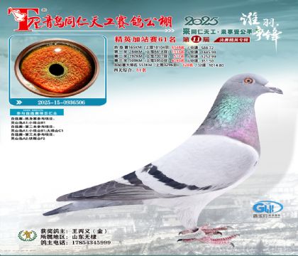 青岛同仁天工加站赛61名