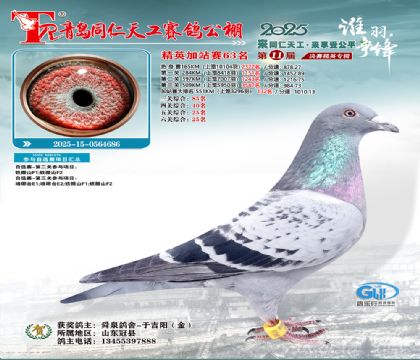 青岛同仁天工加站赛63名