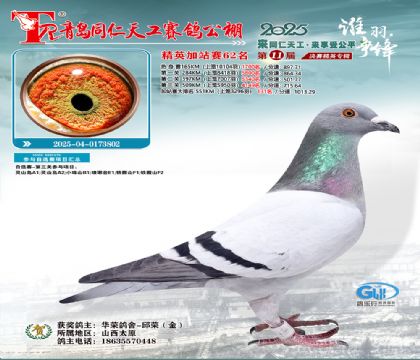 青岛同仁天工加站赛62名