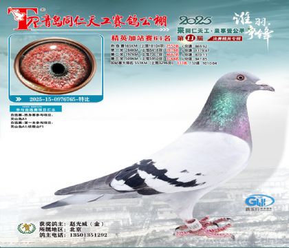 青岛同仁天工加站赛64名