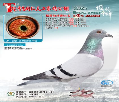 青岛同仁天工加站赛65名