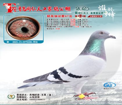 青岛同仁天工加站赛67名