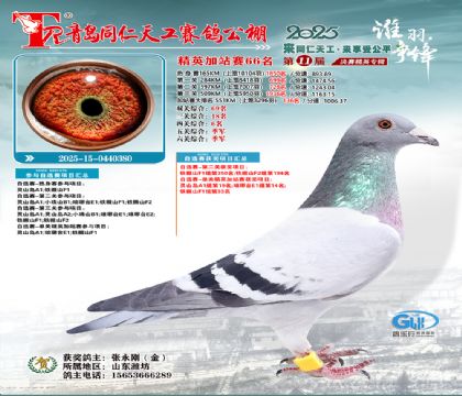 青岛同仁天工加站赛66名