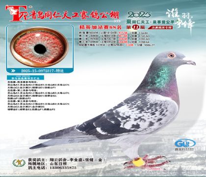 青岛同仁天工加站赛68名