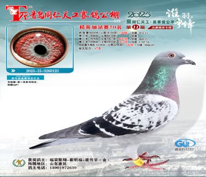 青岛同仁天工加站赛70名