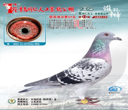 青岛同仁天工加站赛69名