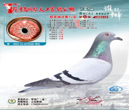 青岛同仁天工加站赛72名