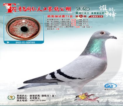 青岛同仁天工加站赛71名