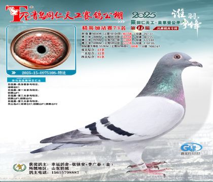 青岛同仁天工加站赛73名