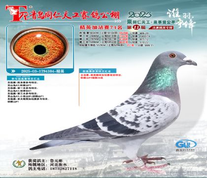 青岛同仁天工加站赛74名