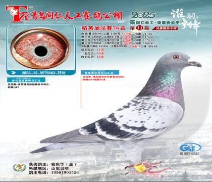 青岛同仁天工加站赛76名