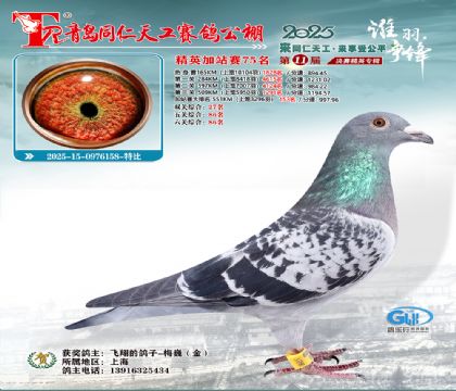 青岛同仁天工加站赛75名